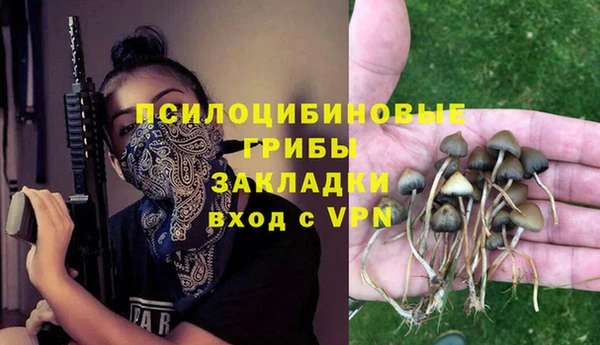мяу мяу мука Данков