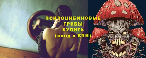apvp Рославль