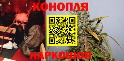 прущие грибы Балашиха