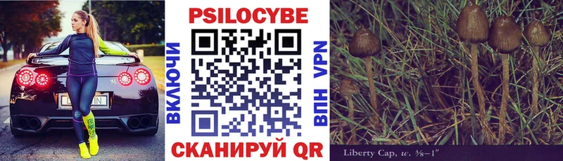 Галлюциногенные грибы Cubensis наркотики МЕГА ссылки Барабинск