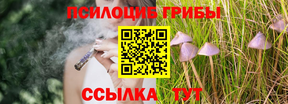 Галлюциногенные грибы ЛСД  Вход с VPN  Галлюциногенные грибы Psilocybe  Барабинск 