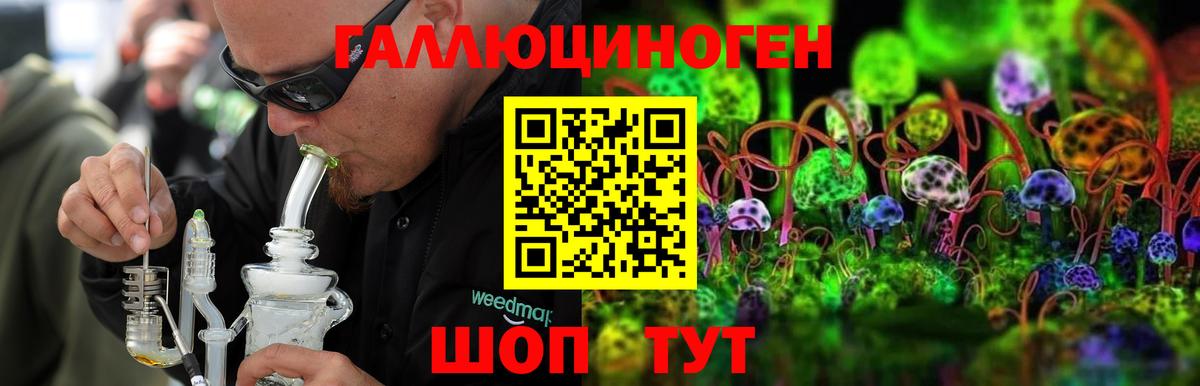Галлюциногенные грибы мухоморы Барабинск